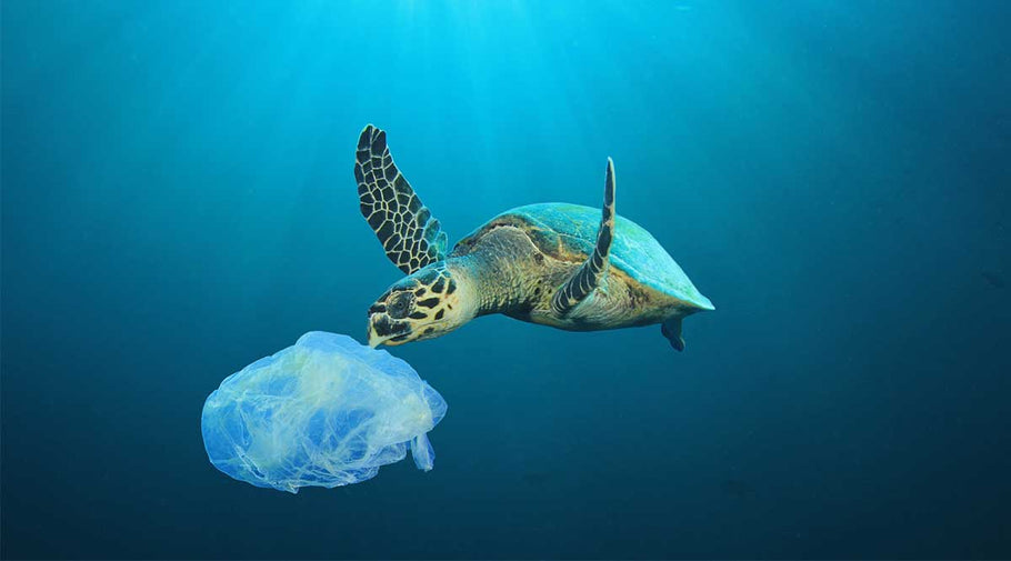 5 Ways to Reduce Plastic Pollution