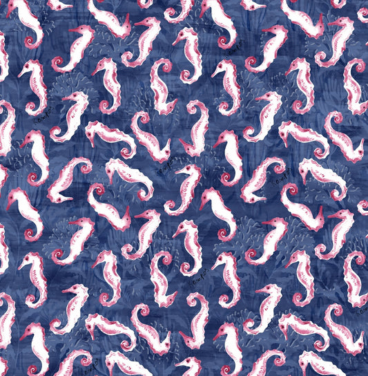 Collection Marine Hippocampe