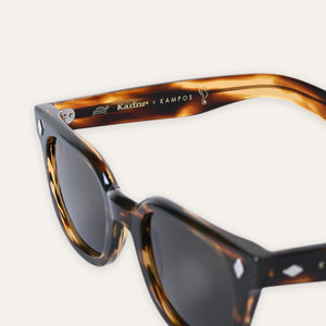 Sunglasses Orbit