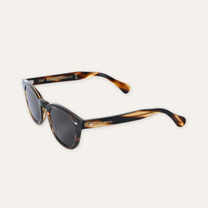 Sunglasses Jolly