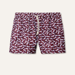 Swim Shorts Seahorse Burgundy - Swimshorts_Man - K A M P O S