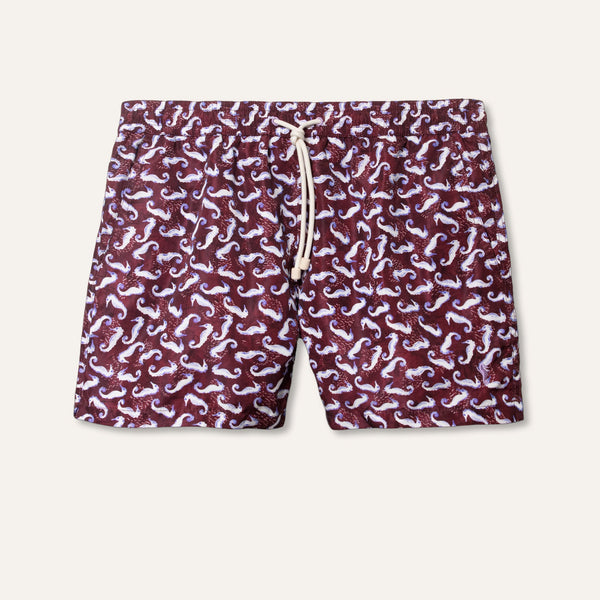 Swim Shorts Seahorse Burgundy - Swimshorts_Man - K A M P O S