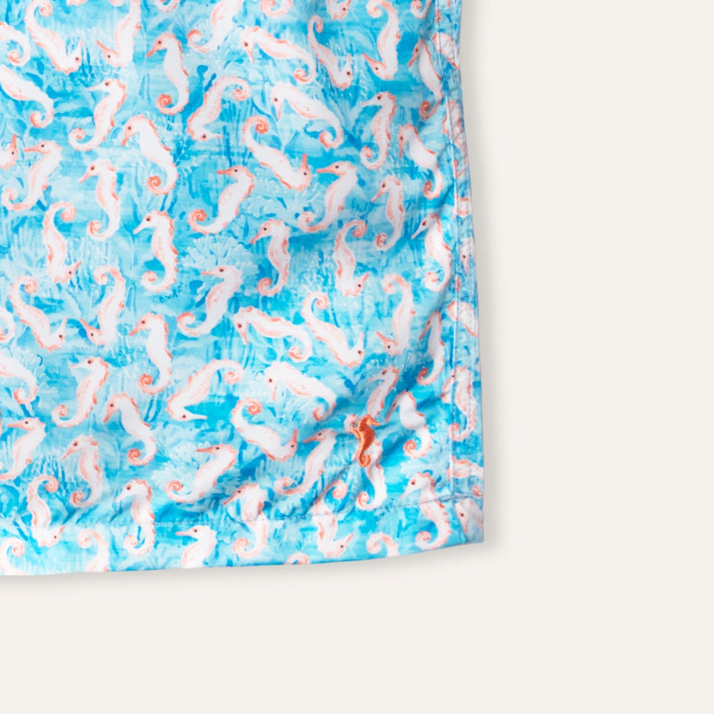 Swim Shorts Seahorse Turquoise - Swimshorts_Man - K A M P O S