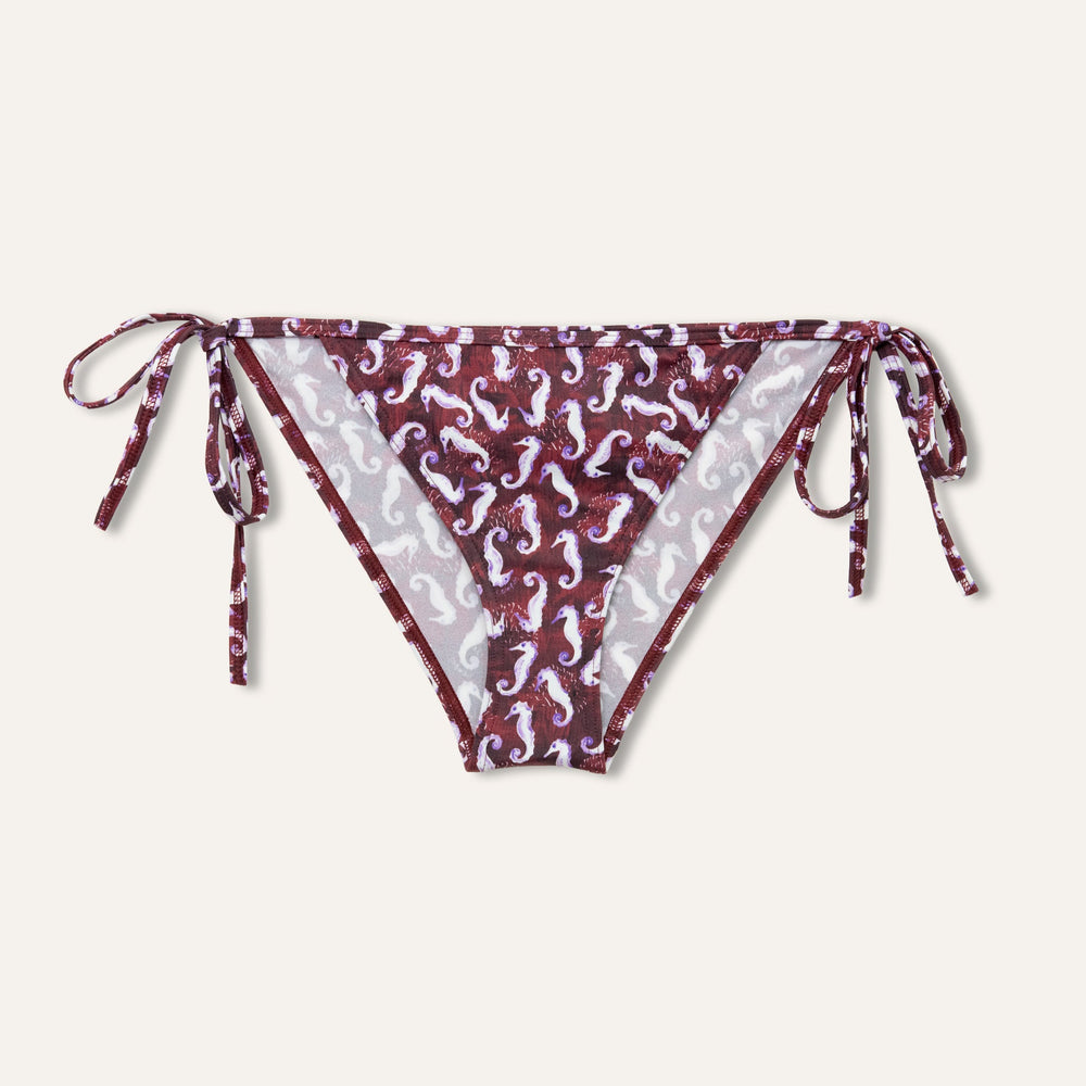 Slip Seahorse Burgundy - KAMPOS