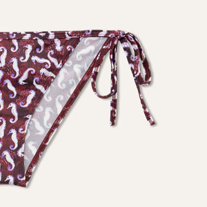 Slip Seahorse Burgundy - KAMPOS