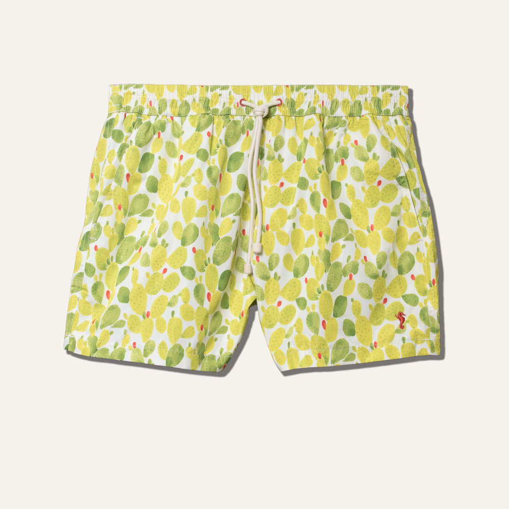 Swim Shorts Cactus (Lime) - Swimshorts_Man - KAMPOS