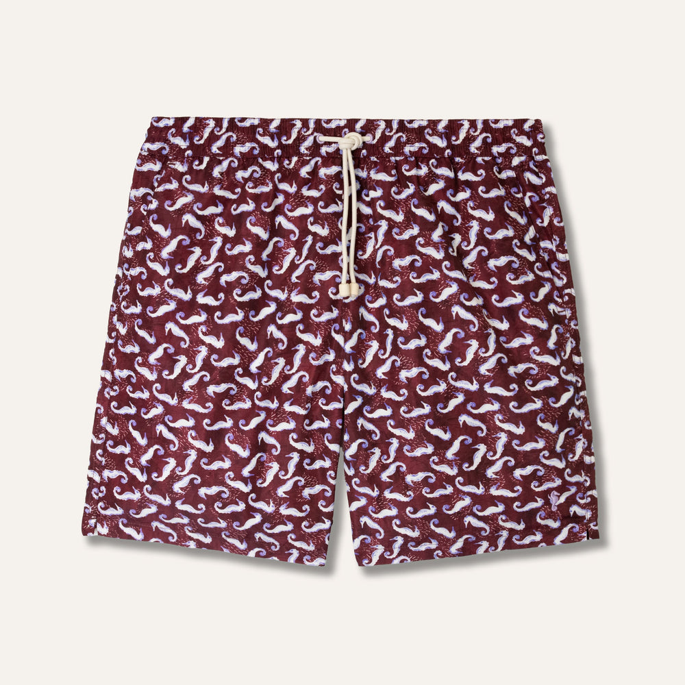 Swim Shorts Long Seahorse Burgundy - Swimshorts_Man - KAMPOS