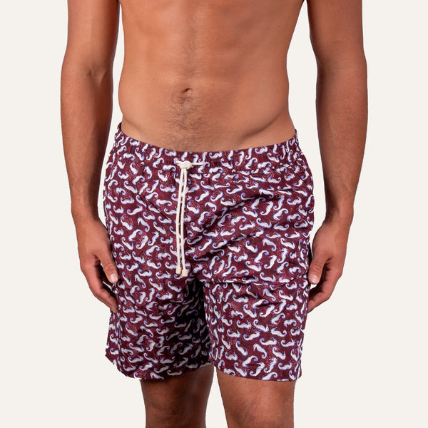 Swim Shorts Long Seahorse Burgundy - Swimshorts_Man - KAMPOS