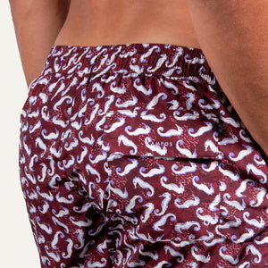 Swim Shorts Long Seahorse Burgundy - Swimshorts_Man - KAMPOS