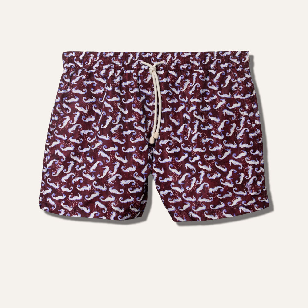 Swim Shorts Seahorse Burgundy - Swimshorts_Man - KAMPOS