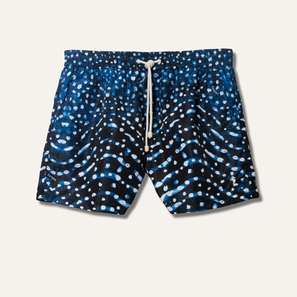 Swim Shorts Whale Shark (Night) - Swimshorts_Man - KAMPOS