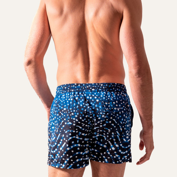 Swim Shorts Whale Shark (Night) - Swimshorts_Man - KAMPOS